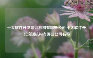 十大软件开发培训机构有哪些公司,十大软件开发培训机构有哪些公司名称