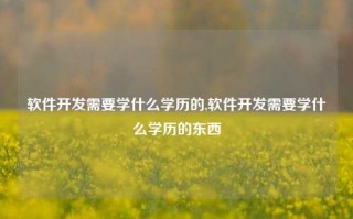 软件开发需要学什么学历的,软件开发需要学什么学历的东西