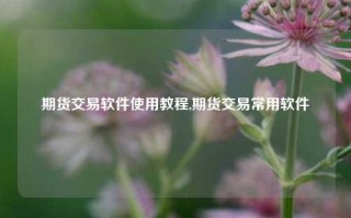 期货交易软件使用教程,期货交易常用软件