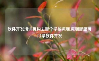 软件开发培训机构去哪个学校深圳,深圳哪里可以学软件开发