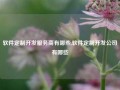 软件定制开发服务商有哪些,软件定制开发公司有哪些