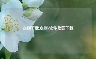 定制下载,定制v软件免费下载