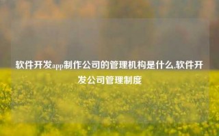 软件开发app制作公司的管理机构是什么,软件开发公司管理制度