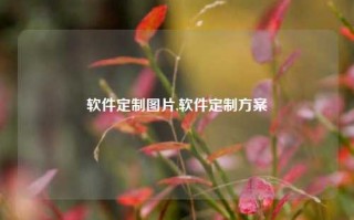 软件定制图片,软件定制方案