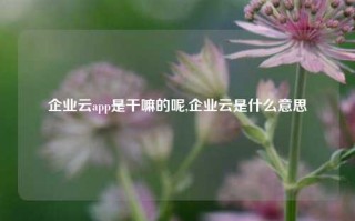 企业云app是干嘛的呢,企业云是什么意思