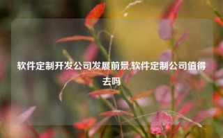 软件定制开发公司发展前景,软件定制公司值得去吗