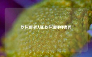 软件测评认证,软件测评师官网