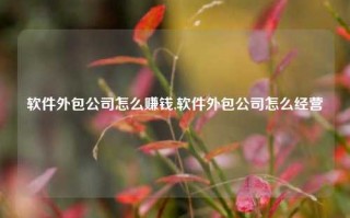 软件外包公司怎么赚钱,软件外包公司怎么经营