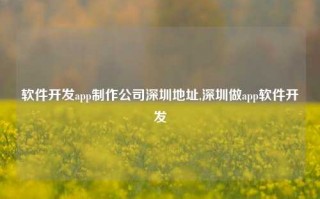 软件开发app制作公司深圳地址,深圳做app软件开发