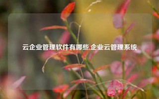 云企业管理软件有哪些,企业云管理系统