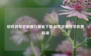 软件开发定制图片模板下载,软件定制开发收费标准