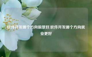 软件开发哪个方向前景好,软件开发哪个方向就业更好