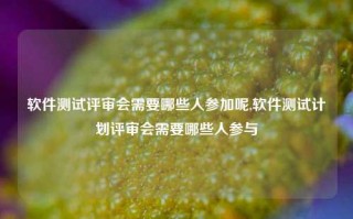 软件测试评审会需要哪些人参加呢,软件测试计划评审会需要哪些人参与