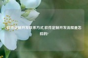 软件定制开发联系方式,软件定制开发流程是怎样的?