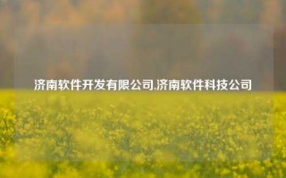 济南软件开发有限公司,济南软件科技公司