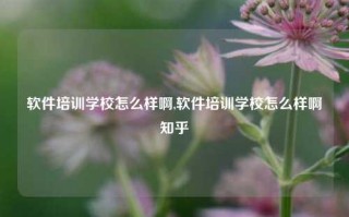 软件培训学校怎么样啊,软件培训学校怎么样啊知乎