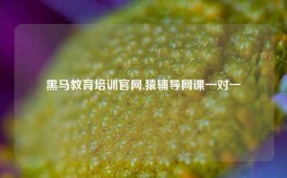 黑马教育培训官网,猿辅导网课一对一