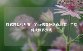 找软件公司开发一个app需要多少钱,开发一个软件大概多少钱