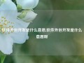 软件外包开发是什么意思,软件外包开发是什么意思呀