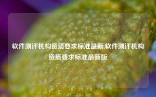 软件测评机构资质要求标准最新,软件测评机构资质要求标准最新版