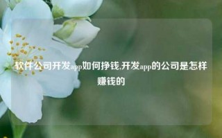 软件公司开发app如何挣钱,开发app的公司是怎样赚钱的