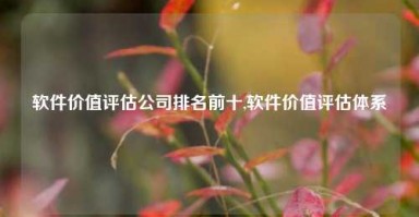 软件价值评估公司排名前十,软件价值评估体系