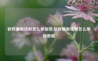 软件骗取钱财怎么举报他,软件骗取钱财怎么举报他呢