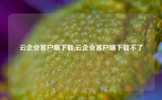 云企业客户端下载,云企业客户端下载不了