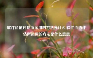 软件价值评估所运用的方法是什么,软件价值评估所运用的方法是什么意思