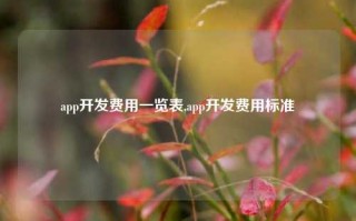 app开发费用一览表,app开发费用标准