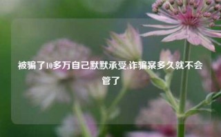 被骗了10多万自己默默承受,诈骗案多久就不会管了