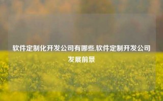 软件定制化开发公司有哪些,软件定制开发公司发展前景