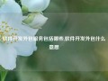 软件开发外包服务包括哪些,软件开发外包什么意思