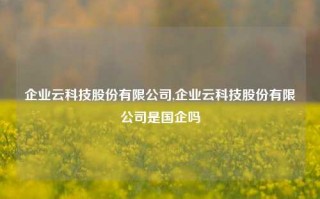 企业云科技股份有限公司,企业云科技股份有限公司是国企吗