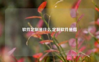 软件定制是什么,定制软件是指