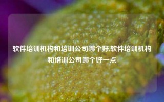 软件培训机构和培训公司哪个好,软件培训机构和培训公司哪个好一点