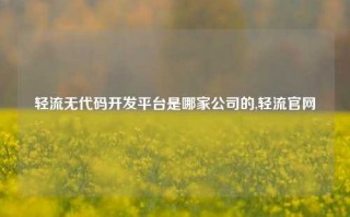 轻流无代码开发平台是哪家公司的,轻流官网