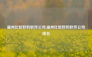 福州比较好的软件公司,福州比较好的软件公司排名