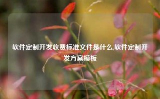 软件定制开发收费标准文件是什么,软件定制开发方案模板