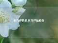 软件评估表,软件评估报告