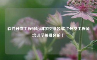 软件开发工程师培训学校排名,软件开发工程师培训学校排名前十