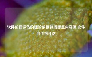 软件价值评估的理论依据包括哪些内容呢,软件的价格评估