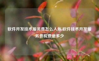 软件开发技术服务费怎么入账,软件技术开发服务费税费是多少