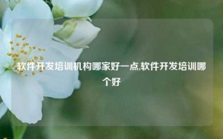 软件开发培训机构哪家好一点,软件开发培训哪个好