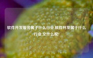 软件开发服务属于什么行业,软件开发属于什么行业,交什么税?