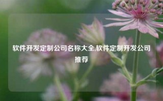 软件开发定制公司名称大全,软件定制开发公司推荐