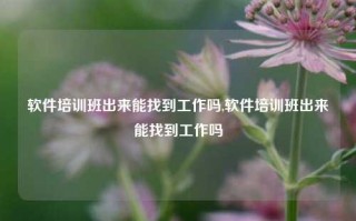 软件培训班出来能找到工作吗,软件培训班出来能找到工作吗