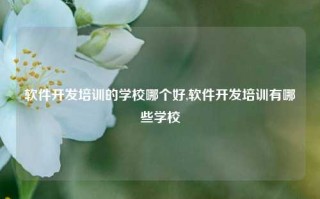 软件开发培训的学校哪个好,软件开发培训有哪些学校