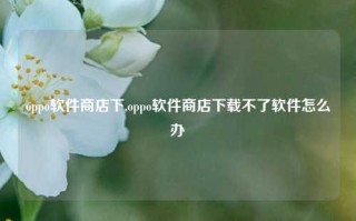 oppo软件商店下,oppo软件商店下载不了软件怎么办