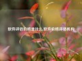 软件评估价格是什么,软件价格评估机构